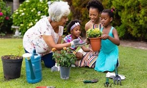 A grandmother with her daughter and two young granddaughters gardening together